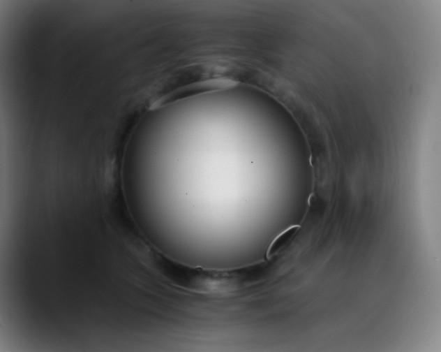 X0000089870563200707121756