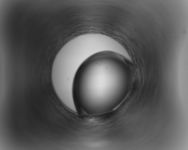 X0000089870564200707121756
