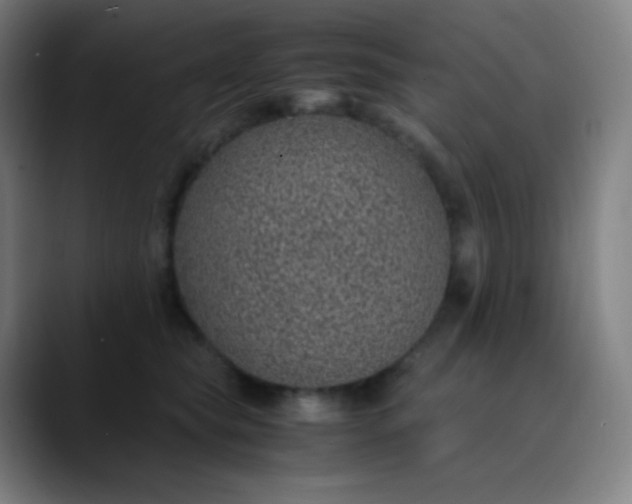 X0000089870565200707121756