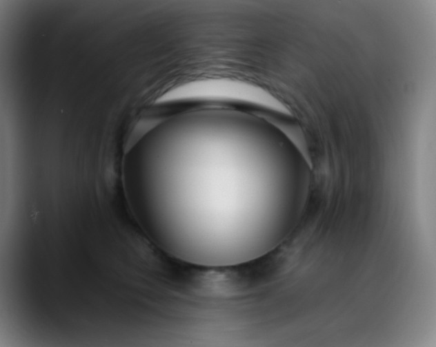 X0000089870566200707121756