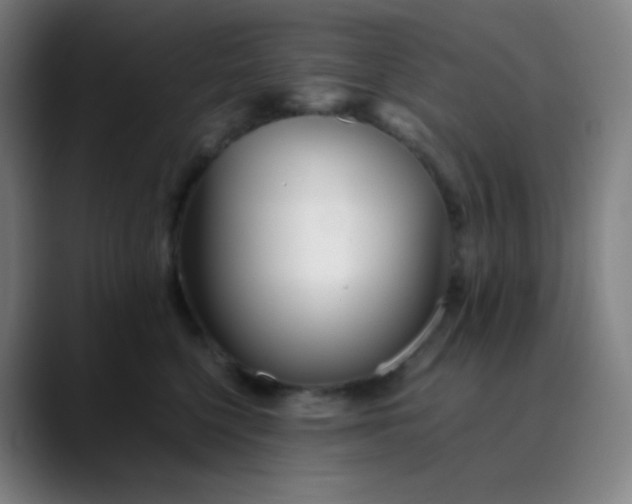 X0000089870568200707121756