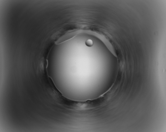 X0000089870570200707121756