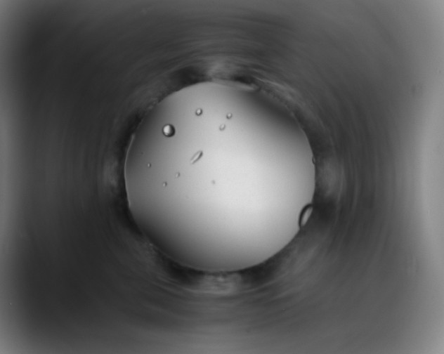 X0000089870571200707121756