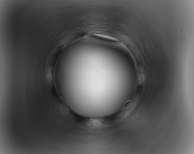 X0000089870573200707121756