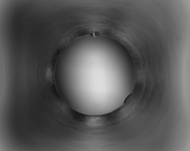 X0000089870575200707121756