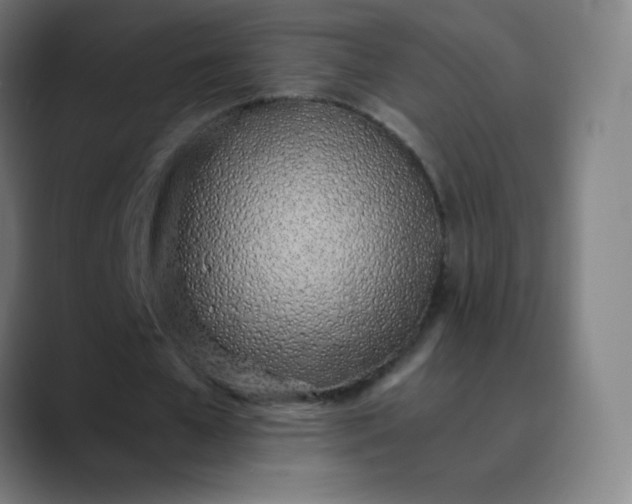 X0000089870577200707121756