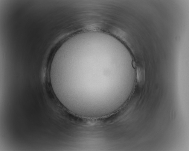 X0000089870579200707121756