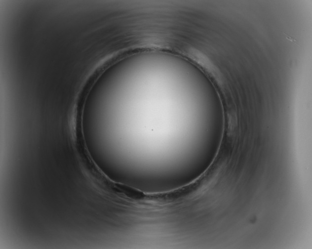 X0000089870580200707121756