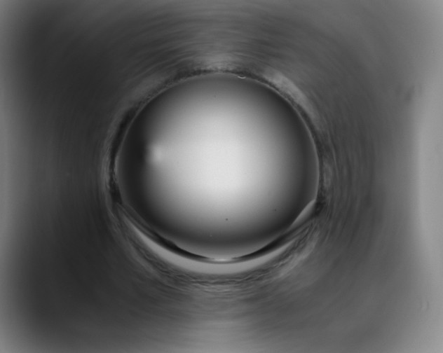 X0000089870581200707121756