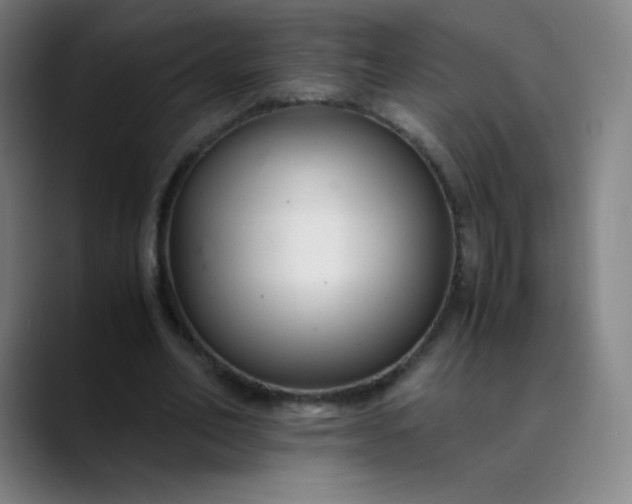 X0000089870582200707121756