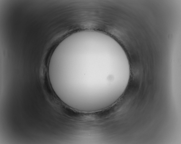X0000089870583200707121756