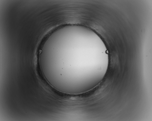X0000089870584200707121756