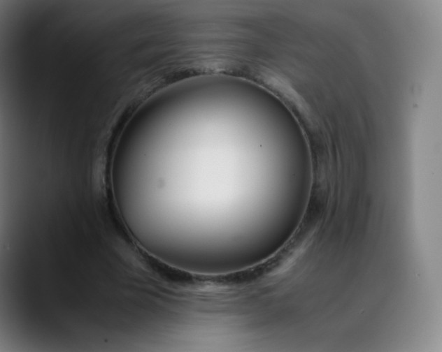 X0000089870585200707121756