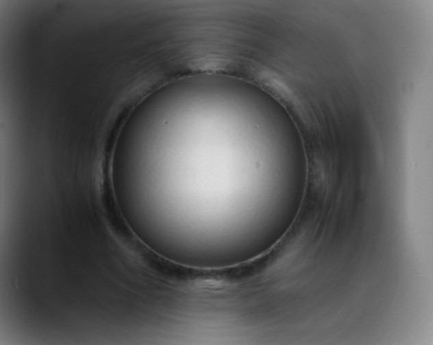X0000089870586200707121756