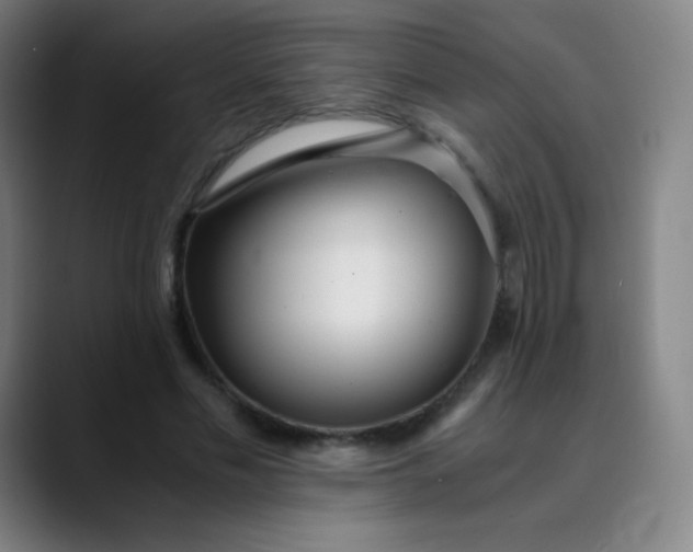 X0000089870589200707121756