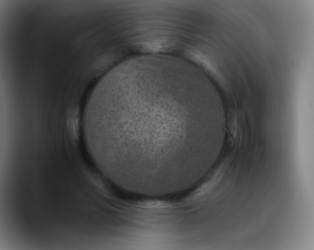 X0000089870590200707121755