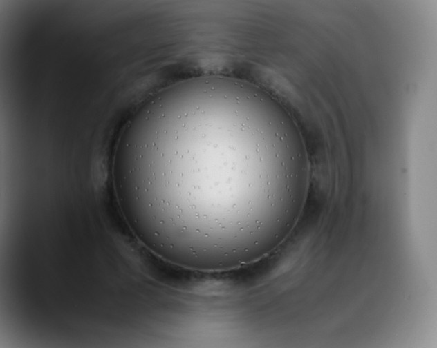 X0000089870593200707121755