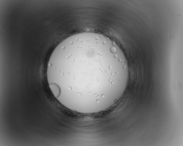 X0000089870594200707121755