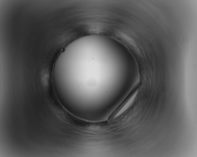 X0000089870596200707121755