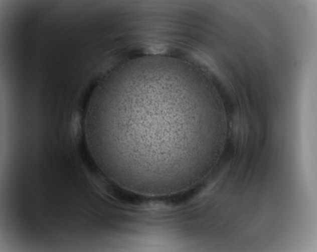 X0000089870598200707121755