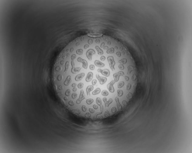 X0000089870599200707121755