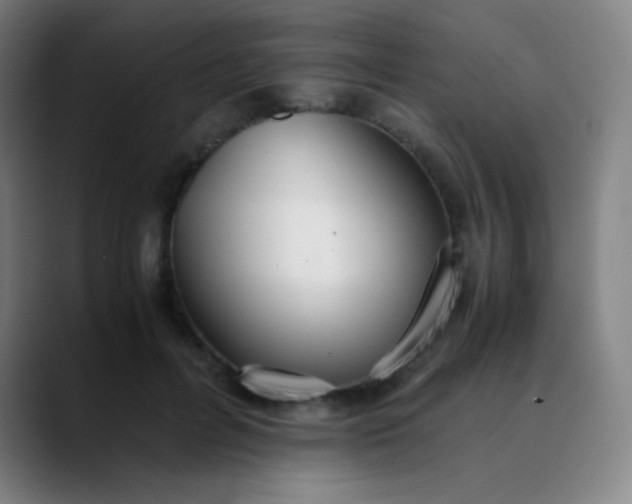 X0000089870600200707121755