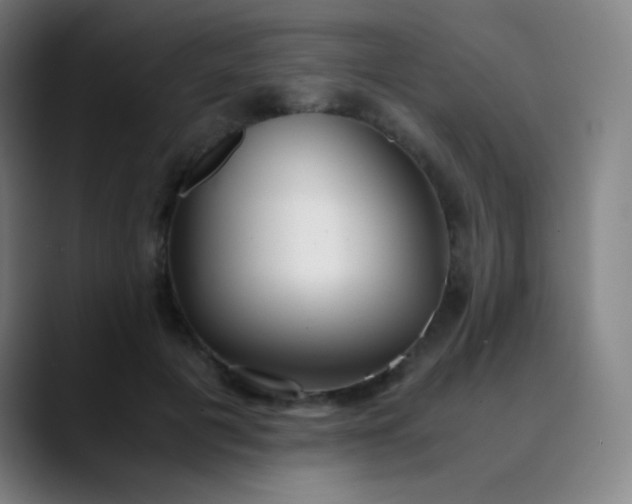 X0000089870601200707121755