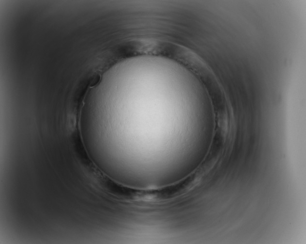 X0000089870602200707121755