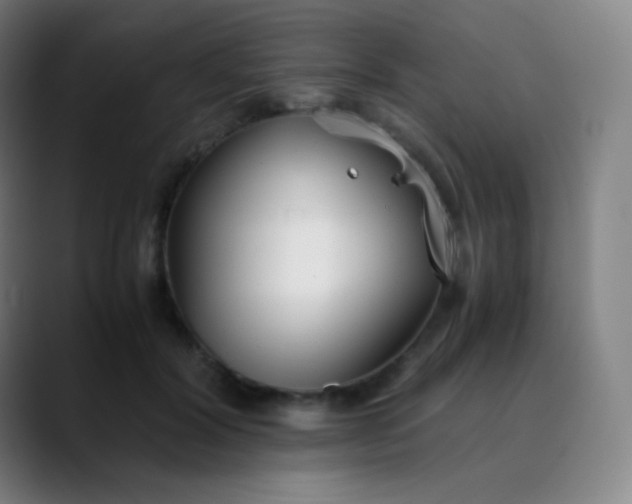 X0000089870604200707121755