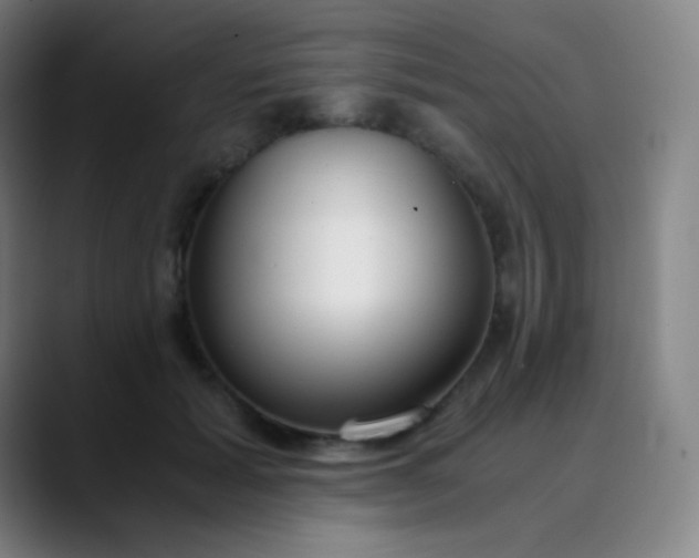 X0000089870605200707121755