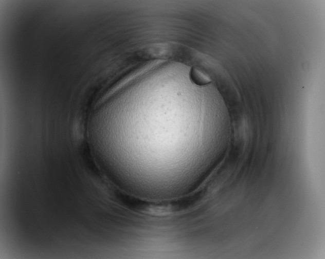 X0000089870606200707121755