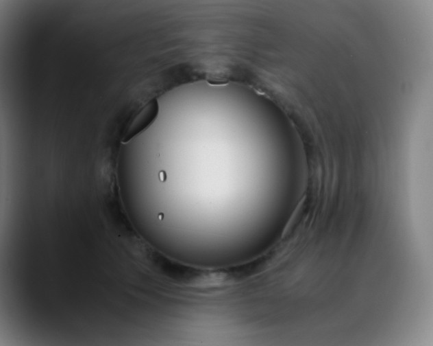 X0000089870609200707121755