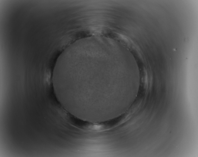 X0000089870610200707121755