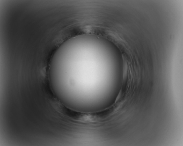 X0000089870611200707121755