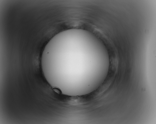 X0000089870612200707121755
