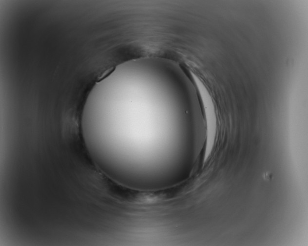 X0000089870613200707121755