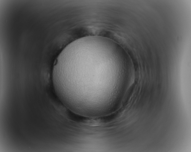X0000089870615200707121755