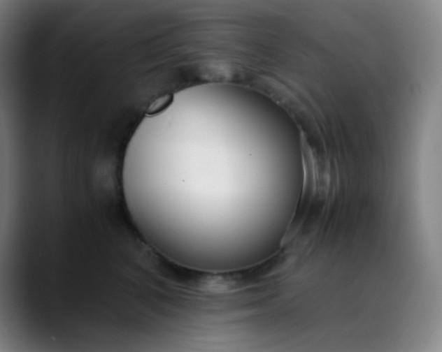 X0000089870616200707121755