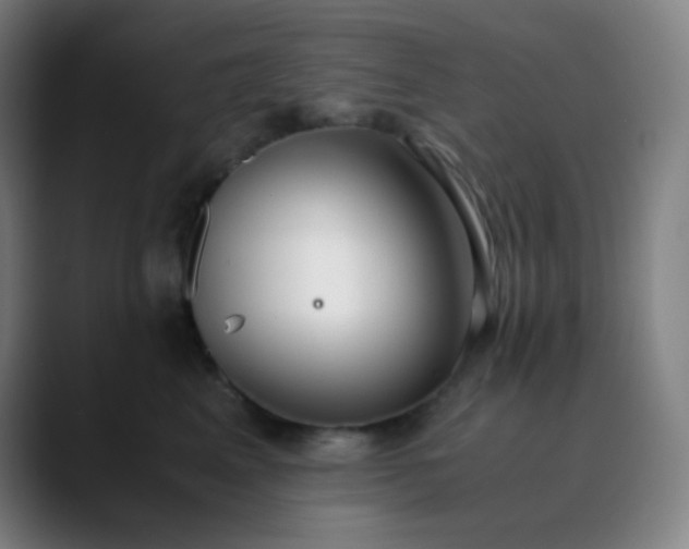X0000089870617200707121755