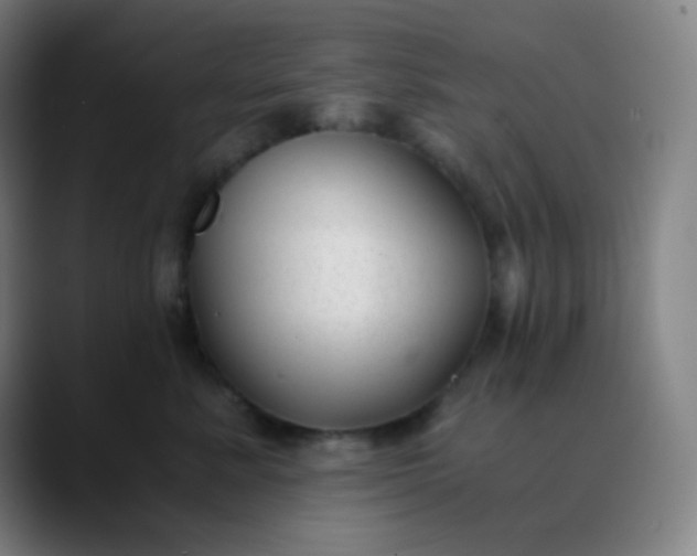X0000089870619200707121755