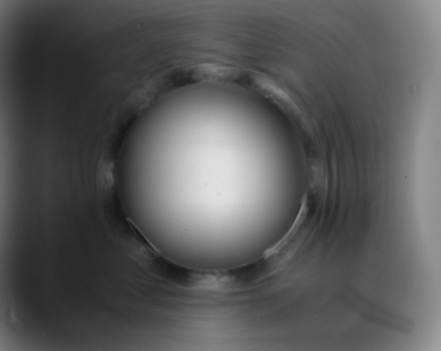 X0000089870621200707121755