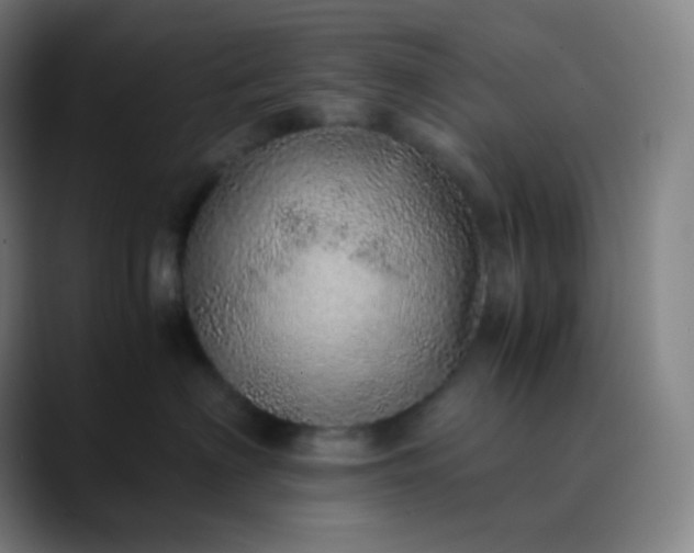 X0000089870622200707121755