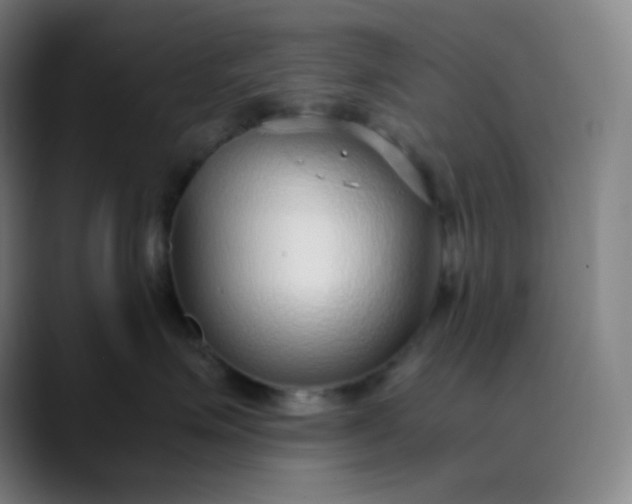 X0000089870623200707121755