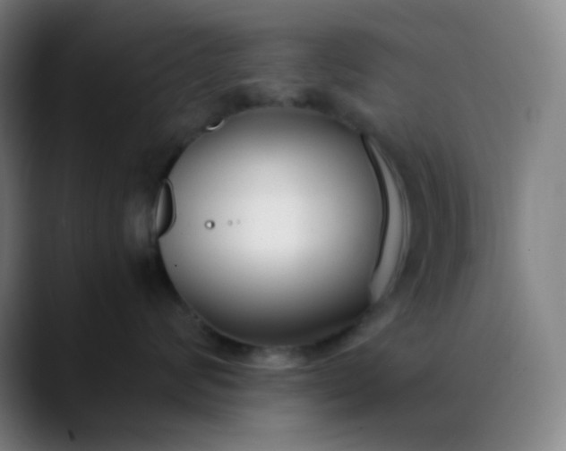X0000089870624200707121755