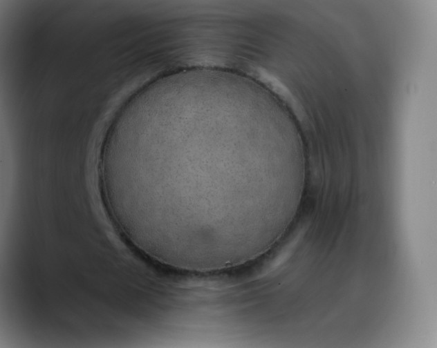 X0000089870625200707121755