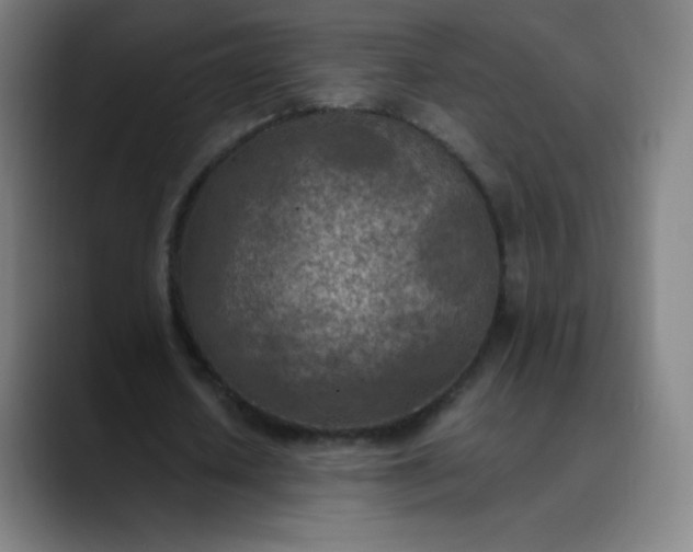X0000089870626200707121755