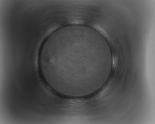 X0000089870627200707121755