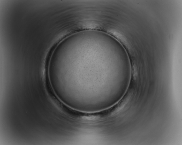 X0000089870630200707121755