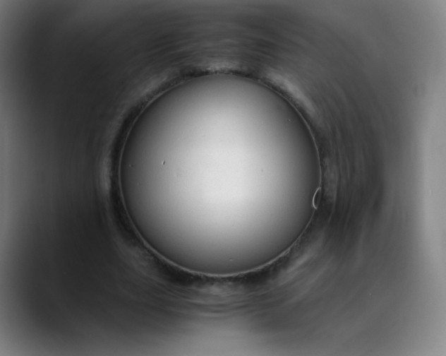 X0000089870631200707121755