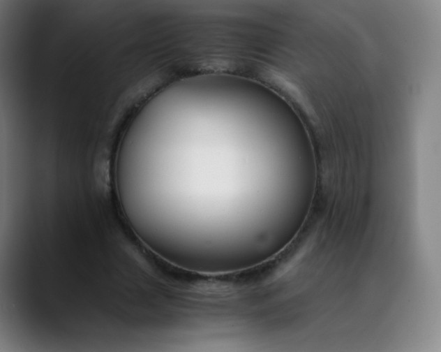 X0000089870633200707121755
